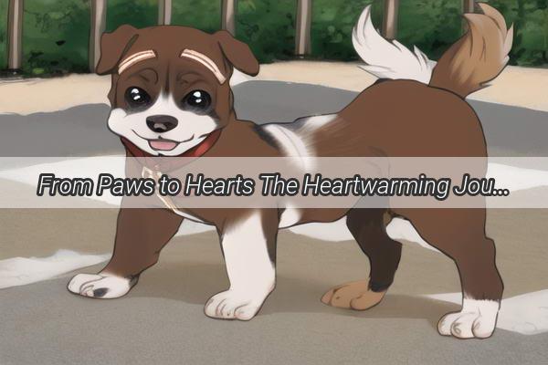 From Paws to Hearts The Heartwarming Journey of a Dog Moms Love